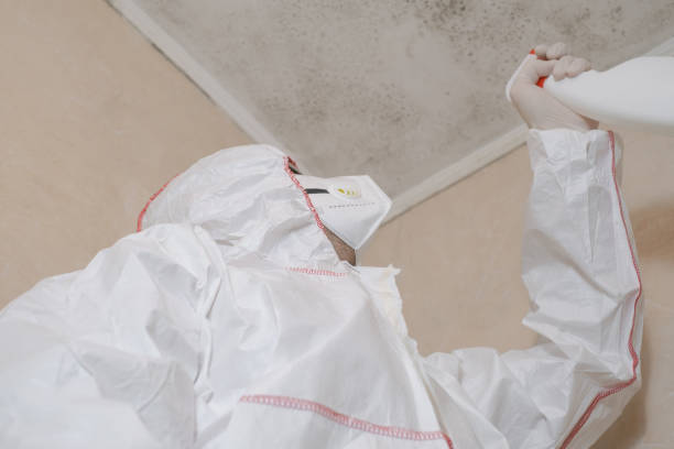 Best Professional Mold Removal  in Portage, MI